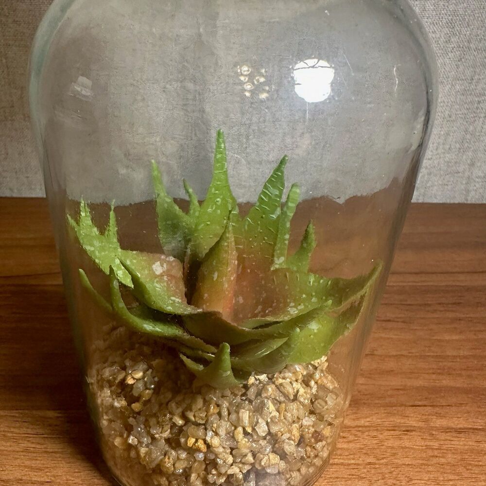 Faux Succulent Plant in Glass Terrarium - Picture 2 of 6
